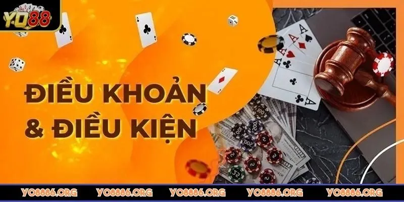 dieu-khoan-dieu-kien-dieu-gi