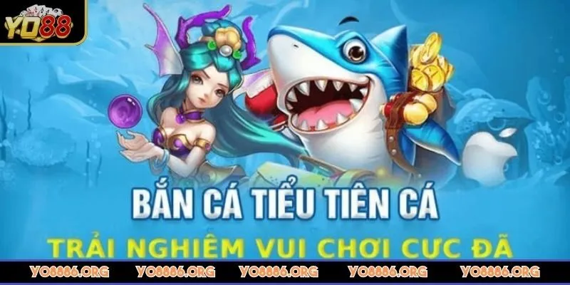 ban-ca-tieu-tien-ca-da-dang