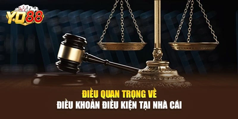 Điều quan trọng về điều khoản điều kiện tại nhà cái